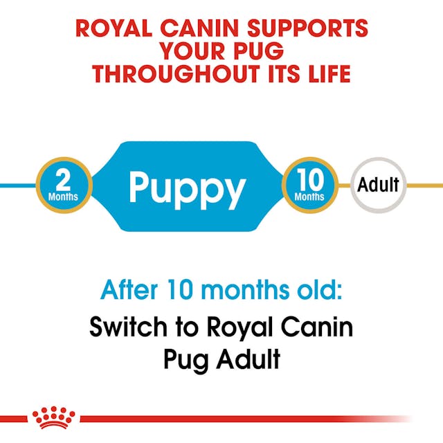 Royal Canin Dry Dog Food Pug Puppy - Woonona Petfood & Produce