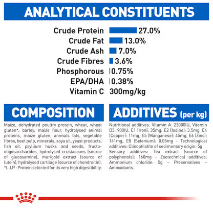 Royal Canin Dry Cat Food Indoor Adult