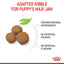 Royal Canin Dry Dog Food Maxi Large Breed Puppy