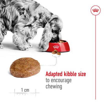 Royal Canin Dry Dog Food Medium Breed Ageing 7+ 15kg