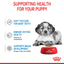 Royal Canin Wet Dog Food Medium Breed Puppy 10x140g