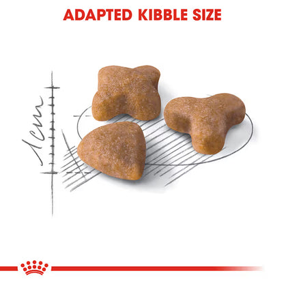 Royal Canin Dry Cat Food Sensible Adult