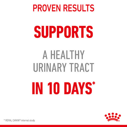 Royal Canin Wet Cat Food Urinary Care Jelly 12x85g