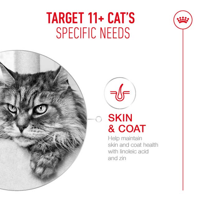 Royal Canin Wet Cat Food Ageing 11+ Chicken in Gravy 85g - Woonona Petfoods