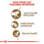Royal Canin Wet Cat Food Ageing 12+ Gravy 12x85g - Woonona Petfoods