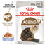Royal Canin Wet Cat Food Ageing 12+ Jelly 85g x 12 - Woonona Petfoods