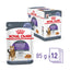 Royal Canin Wet Cat Food Appetite Control Jelly 12x85g - Woonona Petfoods