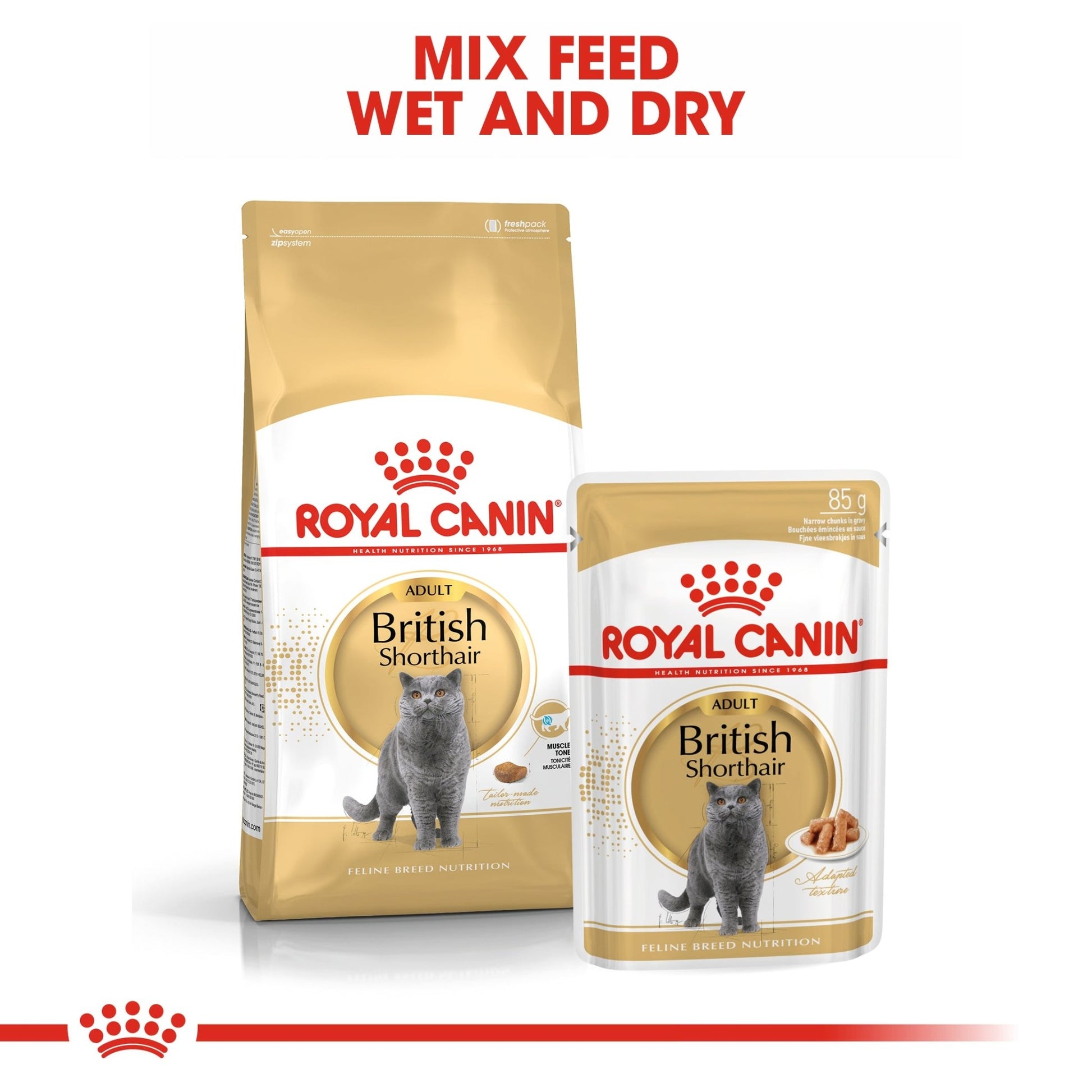 Royal Canin Wet Cat Food British Shorthair 12x85g - Woonona Petfoods