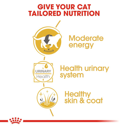 Royal Canin Wet Cat Food British Shorthair 85g - Woonona Petfoods