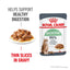 Royal Canin Wet Cat Food Digestive Care Gravy 12x85g - Woonona Petfoods