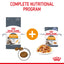 Royal Canin Wet Cat Food Hair and Skin Jelly 85g - Woonona Petfoods