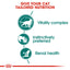 Royal Canin Wet Cat Food Instinctive 7+ Gravy 85g - Woonona Petfoods