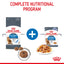 Royal Canin Wet Cat Food Light Weight Care Jelly 12x85g - Woonona Petfoods