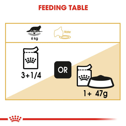 Royal Canin Wet Cat Food Maine Coon 12x85g - Woonona Petfoods