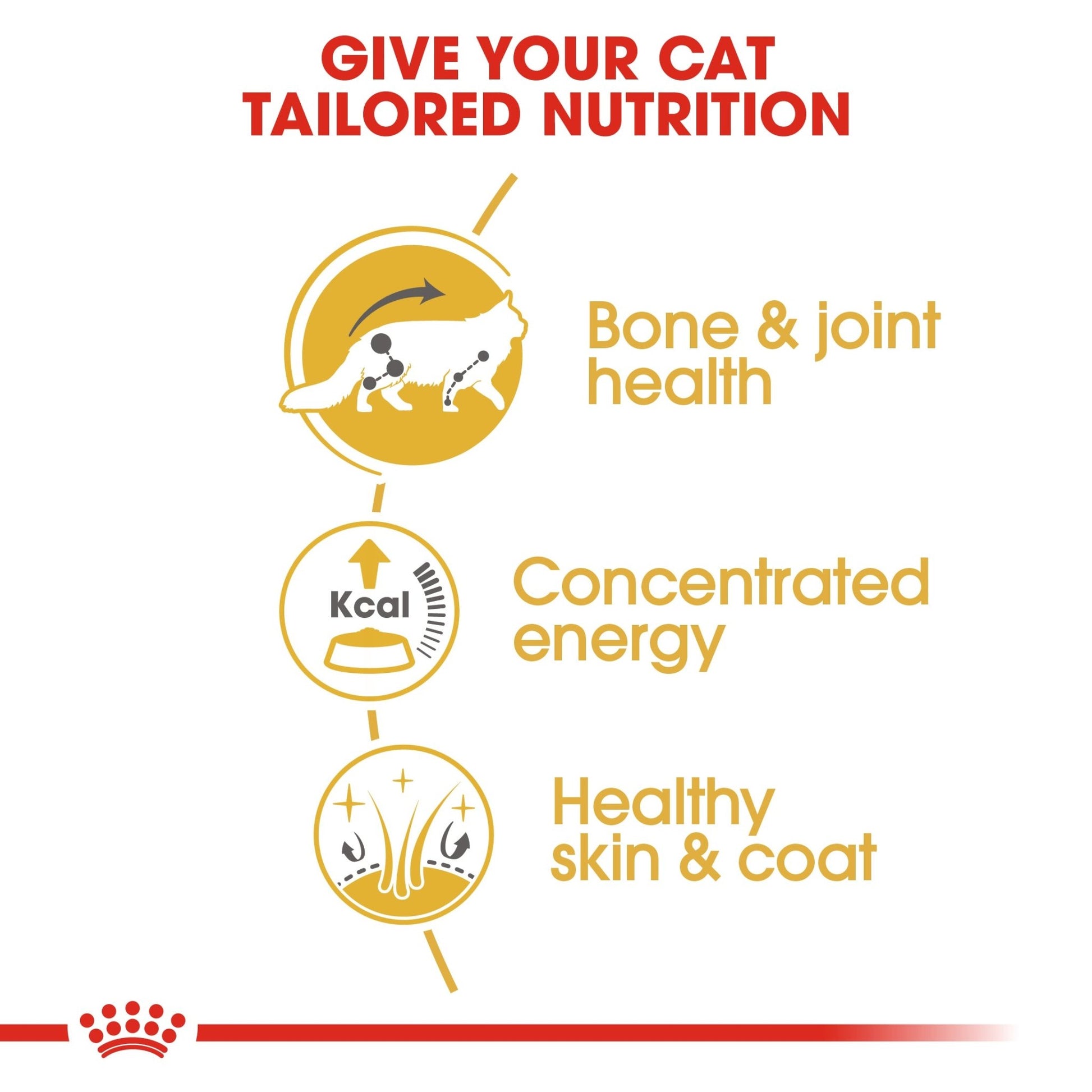 Royal Canin Wet Cat Food Maine Coon 12x85g - Woonona Petfoods