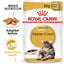 Royal Canin Wet Cat Food Maine Coon 12x85g - Woonona Petfoods
