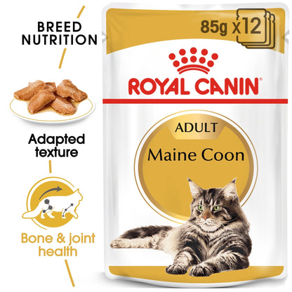 Royal Canin Wet Cat Food Maine Coon 12x85g - Woonona Petfoods