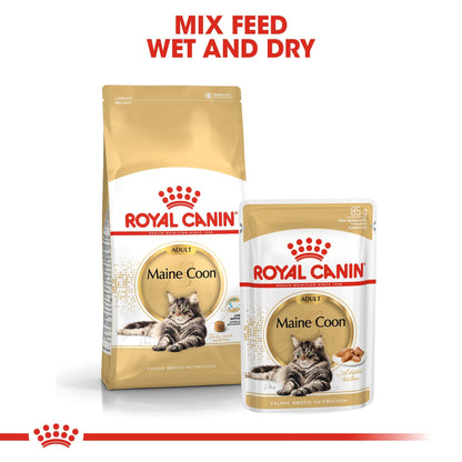 Royal Canin Wet Cat Food Maine Coon 12x85g - Woonona Petfoods