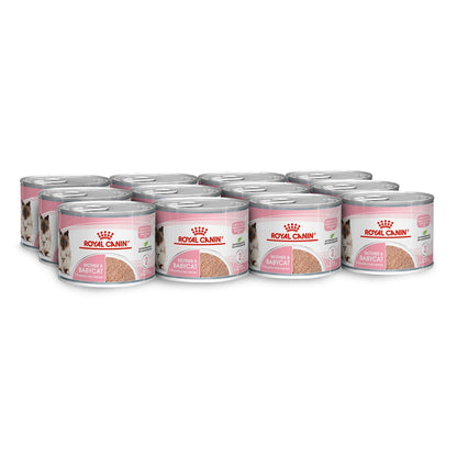 Royal Canin Wet Cat Food Mother and Babycat cans 12x195g - Woonona Petfoods