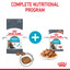 Royal Canin Wet Cat Food Urinary Care Gravy 85g - Woonona Petfoods