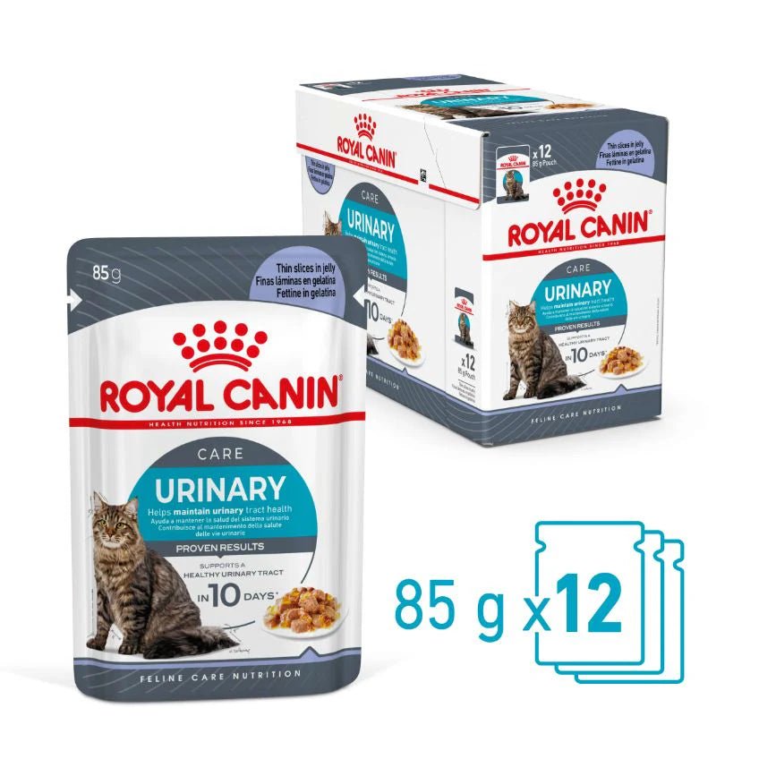 Royal Canin Wet Cat Food Urinary Care Jelly 12x85g - Woonona Petfood & Produce