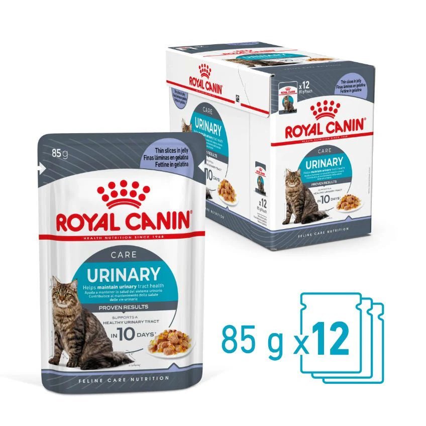 Royal Canin Wet Cat Food Urinary Care Jelly 85g - Woonona Petfoods