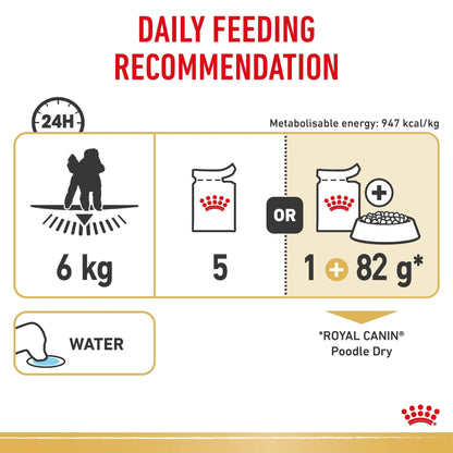 Royal Canin Wet Dog Food Adult Poodle 12x85g - Woonona Petfoods
