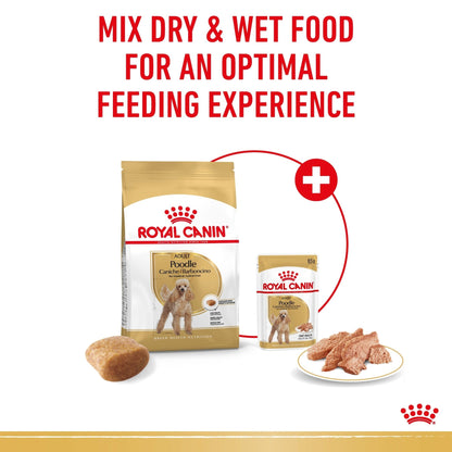 Royal Canin Wet Dog Food Adult Poodle 12x85g - Woonona Petfoods