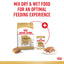 Royal Canin Wet Dog Food Chihuahua 12x85g - Woonona Petfoods