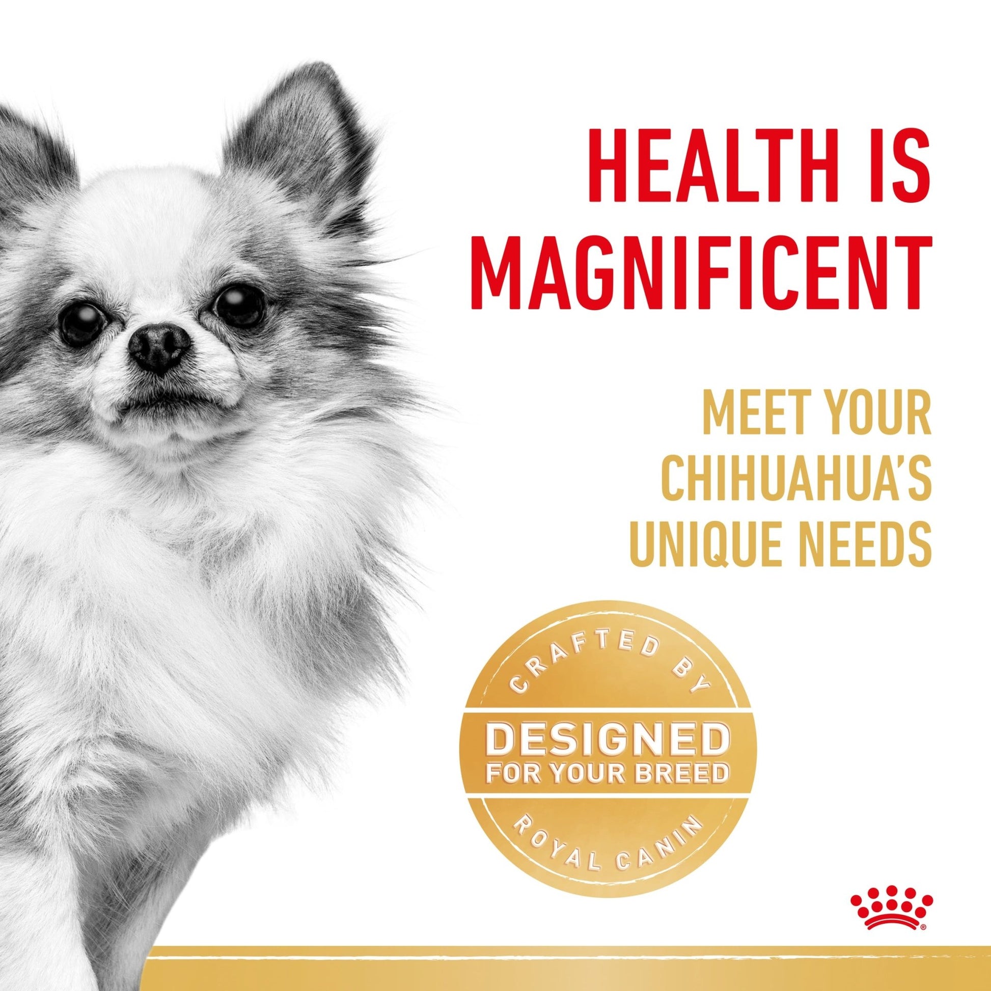 Royal Canin Wet Dog Food Chihuahua 12x85g - Woonona Petfoods