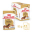 Royal Canin Wet Dog Food Dachshund 12x85g - Woonona Petfoods
