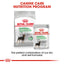 Royal Canin Wet Dog Food Digestive Care Loaf 12x85g - Woonona Petfoods