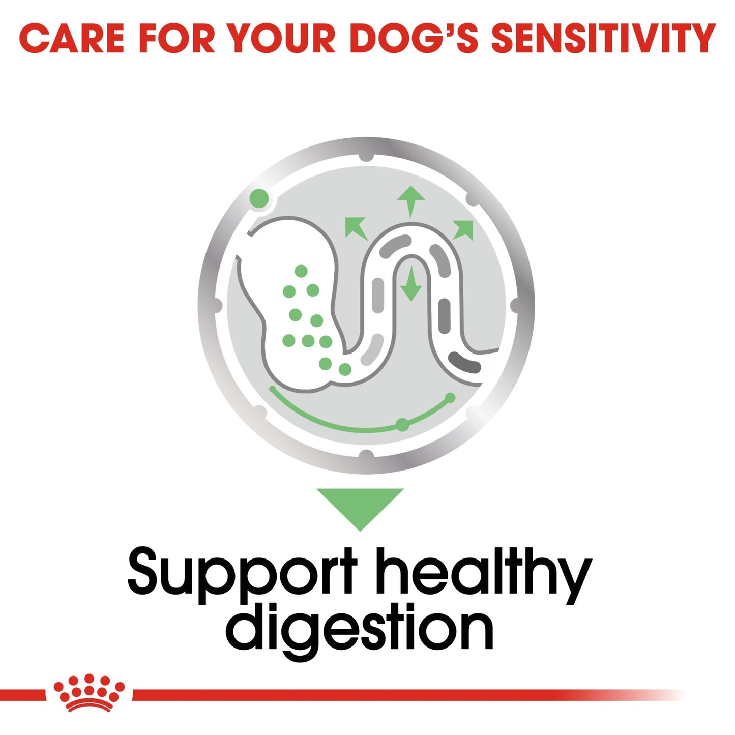 Royal Canin Wet Dog Food Digestive Care Loaf 85g - Woonona Petfoods
