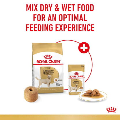 Royal Canin Wet Dog Food Labrador 10x140g - Woonona Petfoods