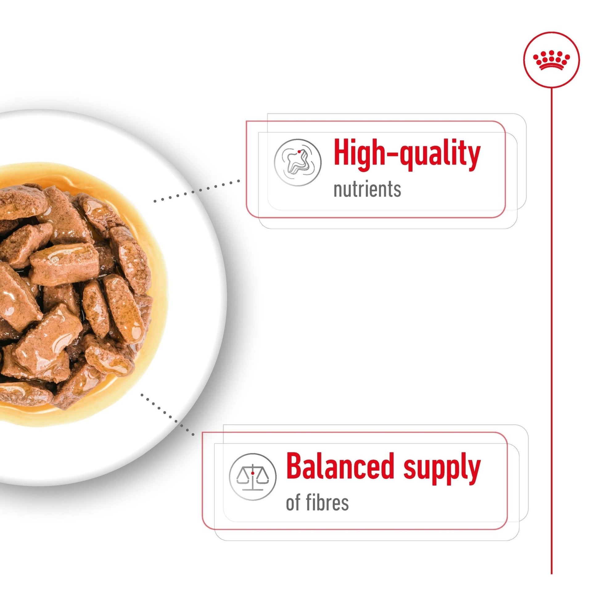 Royal Canin Wet Dog Food Maxi Adult 10x140g - Woonona Petfoods