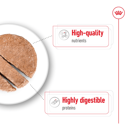 Royal Canin Wet Dog Food Maxi Adult Loaf 12x410g - Woonona Petfoods