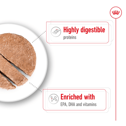 Royal Canin Wet Dog Food Maxi Ageing Loaf 410g - Woonona Petfoods