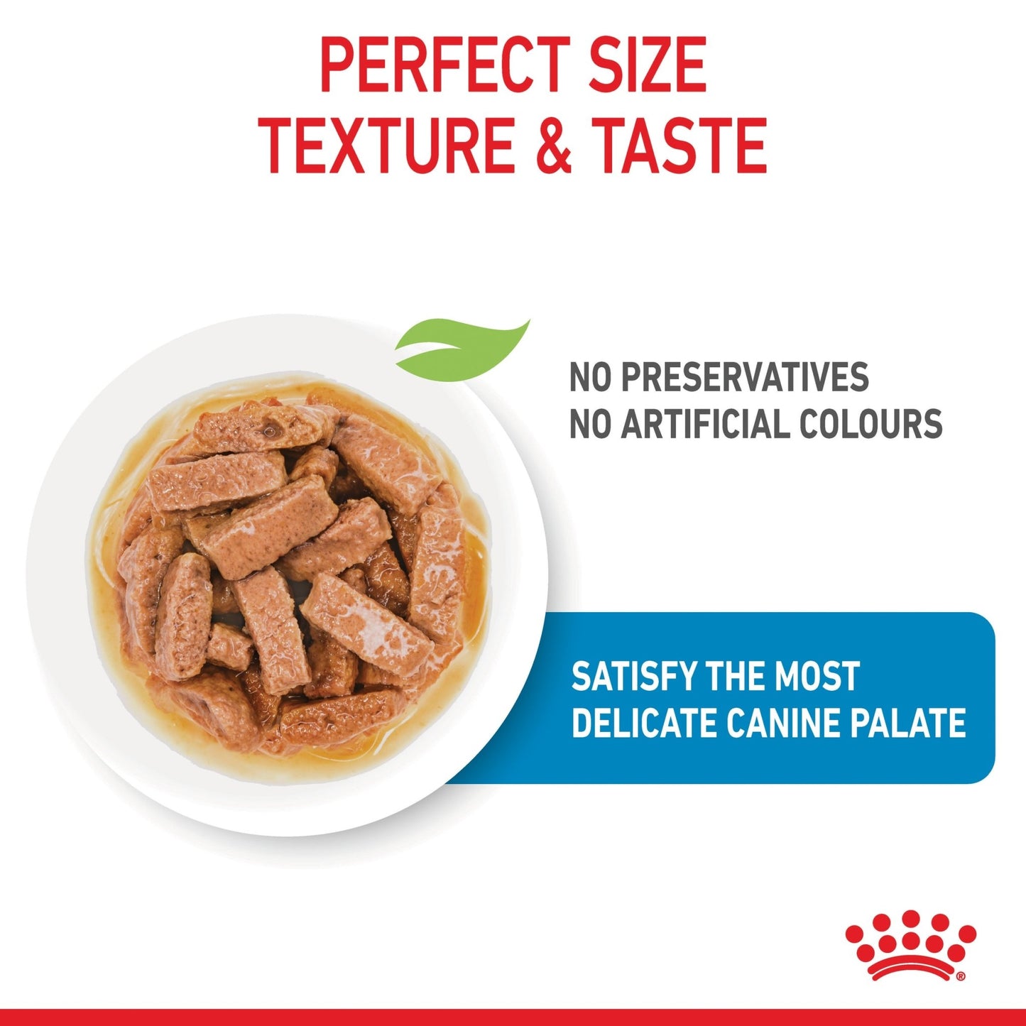 Royal Canin Wet Dog Food Maxi Puppy 10x140g - Woonona Petfoods