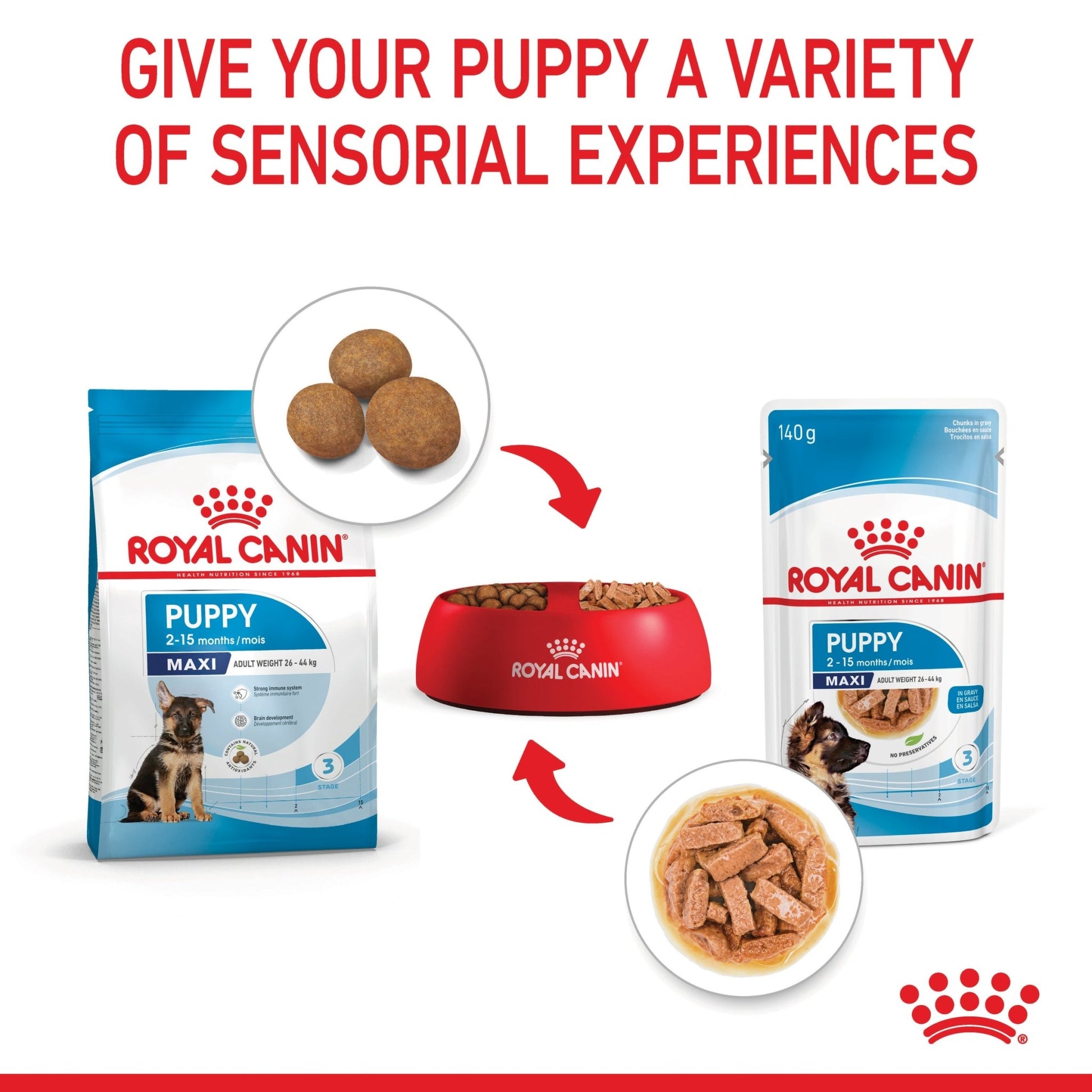 Royal Canin Wet Dog Food Maxi Puppy 10x140g - Woonona Petfoods