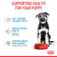 Royal Canin Wet Dog Food Maxi Puppy 10x140g - Woonona Petfoods