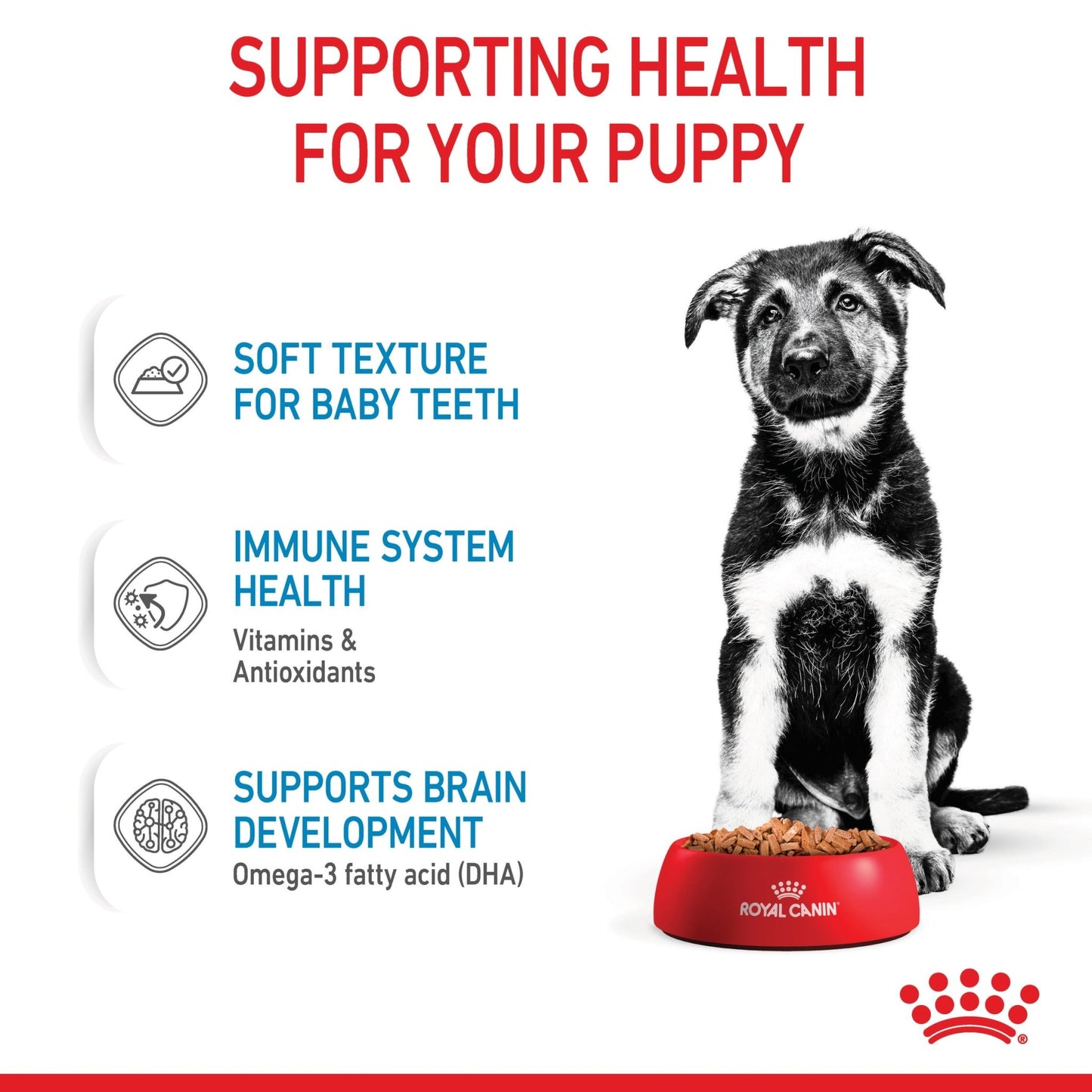 Royal Canin Wet Dog Food Maxi Puppy 10x140g - Woonona Petfoods