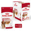 Royal Canin Wet Dog Food Medium Adult 10x140g - Woonona Petfoods
