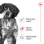 Royal Canin Wet Dog Food Medium Adult 10x140g - Woonona Petfoods