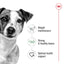 Royal Canin Wet Dog Food Mini Adult 12x85g - Woonona Petfoods