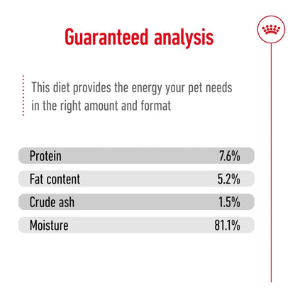 Royal Canin Wet Dog Food Mini Adult 85g - Woonona Petfoods
