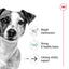 Royal Canin Wet Dog Food Mini Ageing 12+ 12x85g - Woonona Petfoods