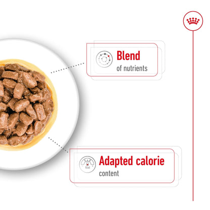 Royal Canin Wet Dog Food Mini Ageing 12+ 12x85g - Woonona Petfoods