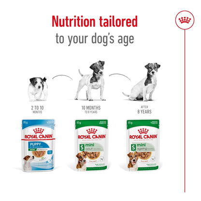 Royal Canin Wet Dog Food Mini Ageing 12+ 85g - Woonona Petfoods