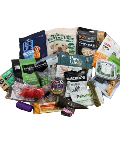 Roys Birthday Gift Bags - Dog - Woonona Petfoods