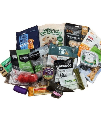 Roys Birthday Gift Bags - Dog